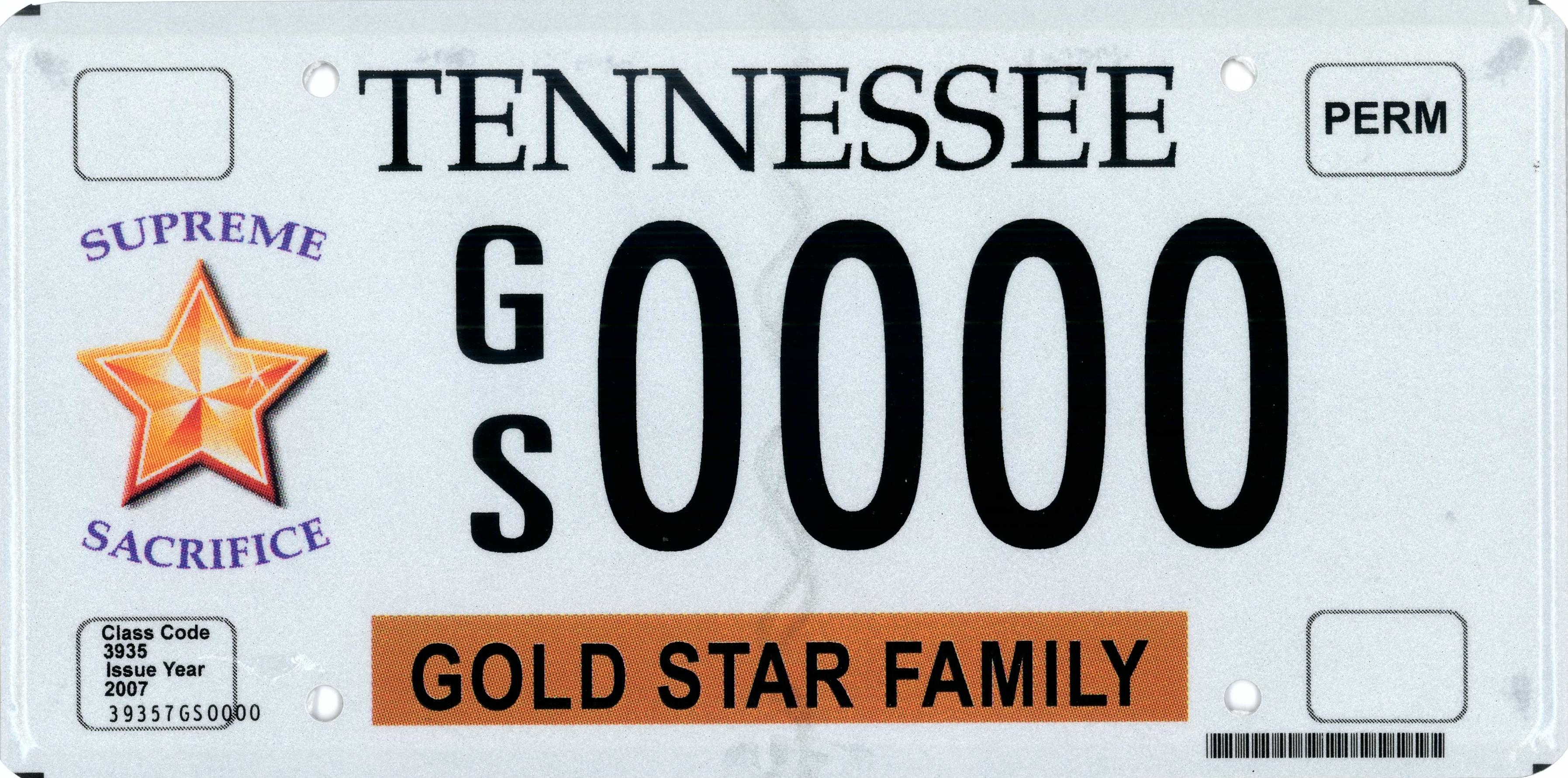 Gold Star Family