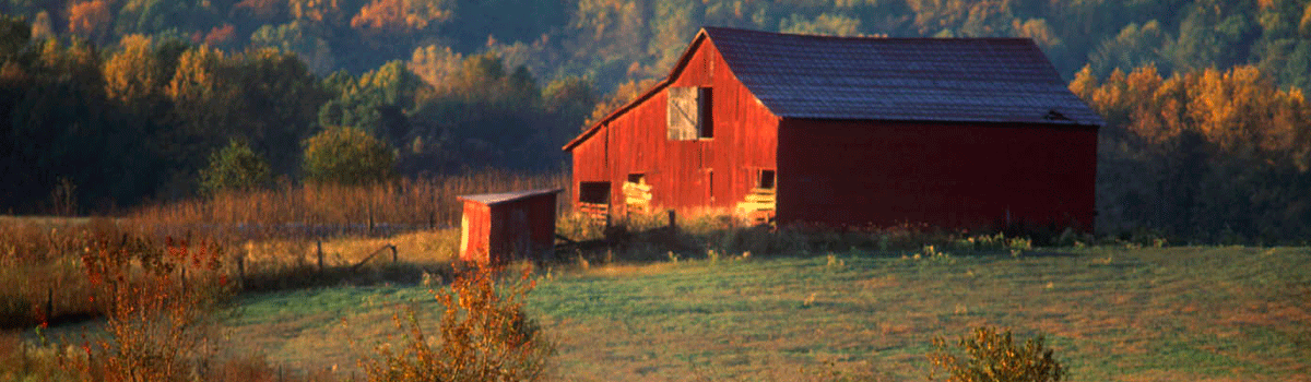 Red barn with fall colors in the background