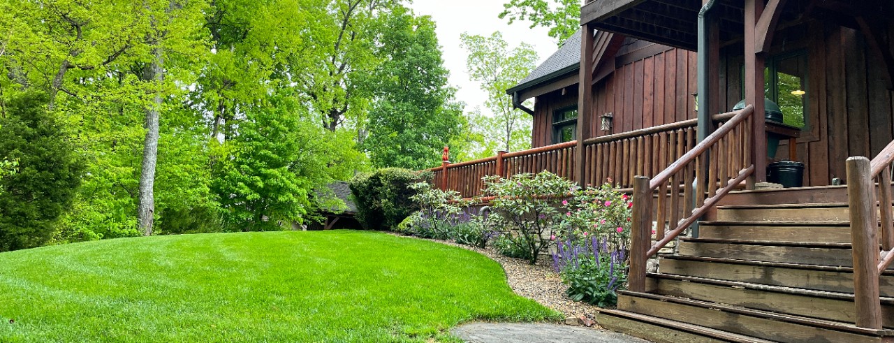 Trees, grass and landscaping surround a cabin