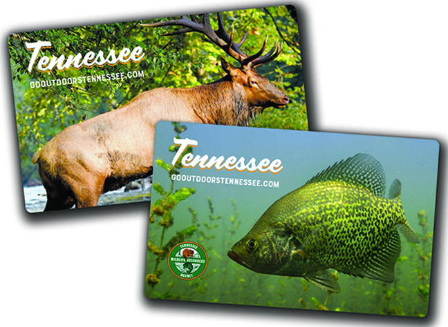 Do You Need a Fishing License in Tennessee 