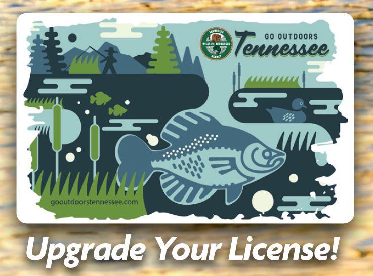 26+ Tennessee Fishing Regulations 2023