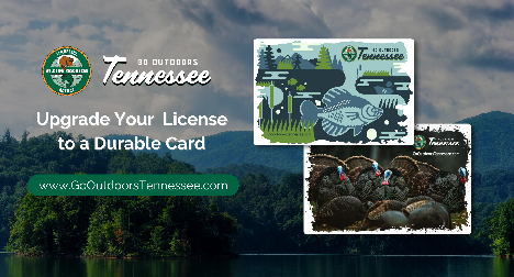 how much is a senior fishing license in tennessee?