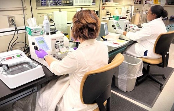 Lab technicians performing a range of special stains on tissue samples.