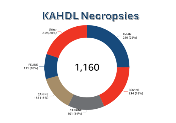 KAHDL Necropsies Total 1160 necropsies. Avian 289 or 25%. Bovine 214 or 18%. Caprine 161 or 14%. Canine 155 or 13%. Feline 111 or 10%. Other 230 or 20%.