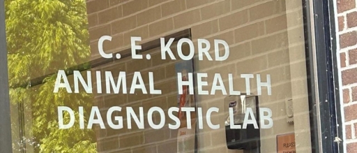 C.E. Kord Animal Health Diagnostic Laboratory window