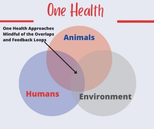 One Health overlap PDF