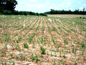 AgFarArcf AgFarArcf