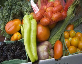 Delvin Farms Food Delivery Delvin Farms Food Delivery
