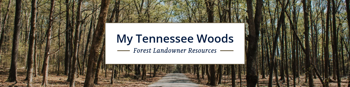 My TN Woods Banner Logo