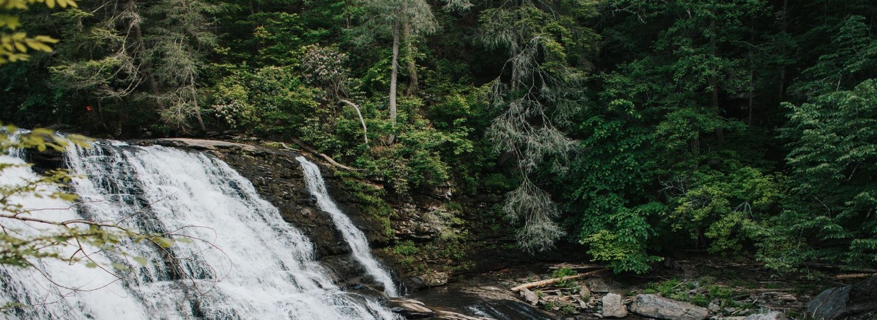 forestrycamp_2025-16_websize Natural landscape featuring a multi-tiered waterfall cascading over dark, moss-covered rocks into a calm pool below. The waterfall is surrounded by a dense forest with vibrant green foliage, a mix of coniferous and deciduous trees, and scattered gnarled branches.