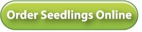 Order Seedlings Online button