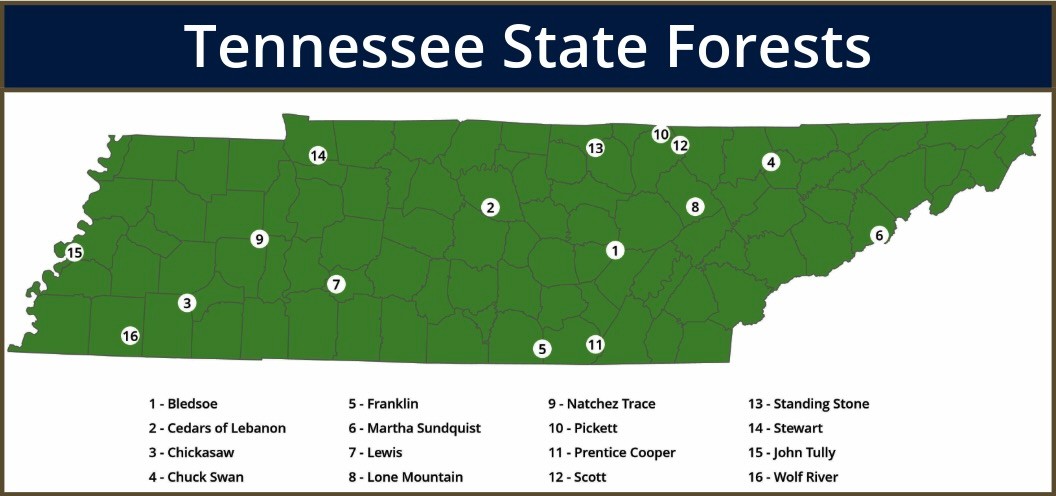 All SF Location Map 2025 Map of Tennessee showing locations for all 16 state forests