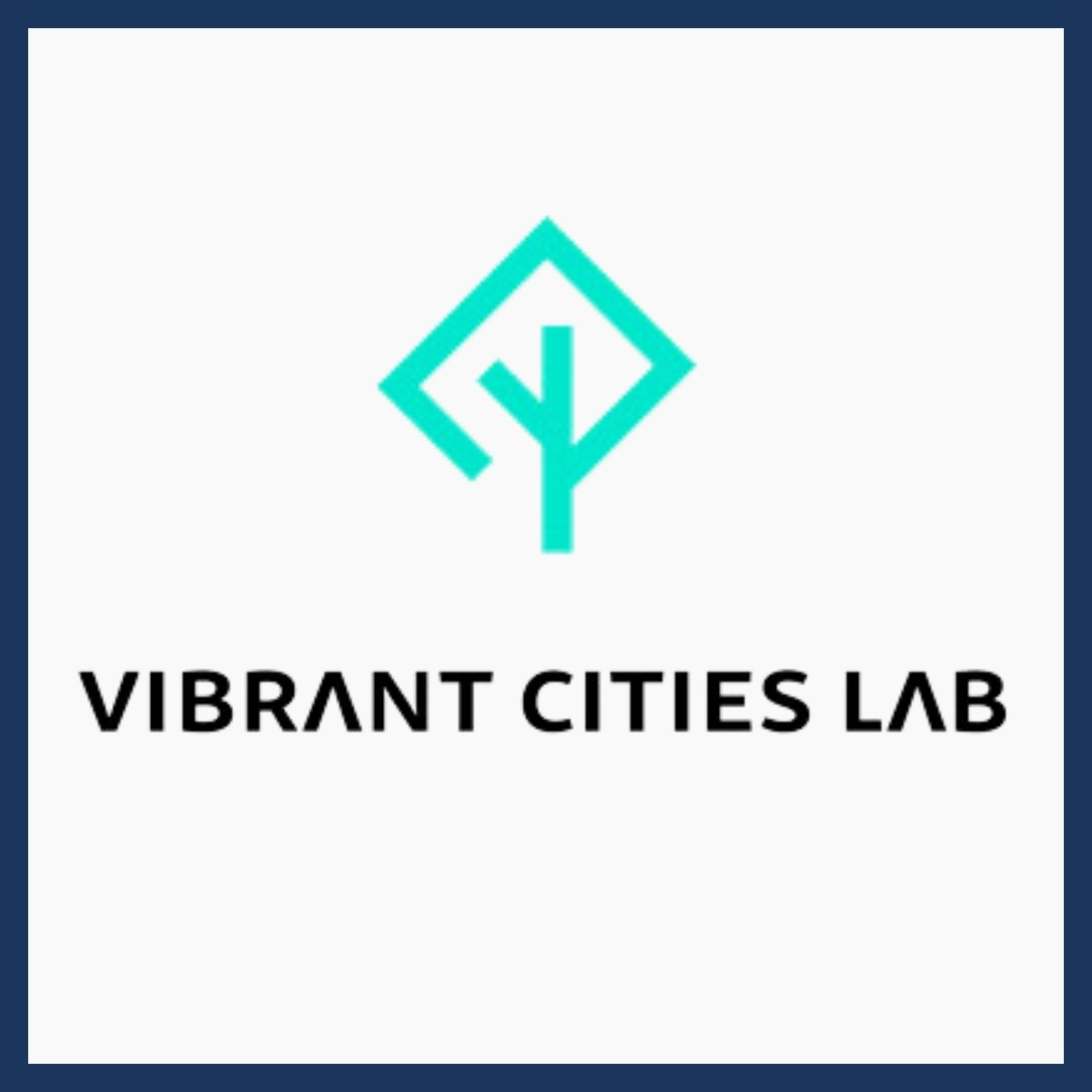 Vibrant Cities Lab