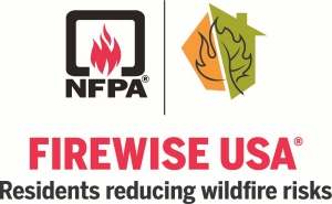 FireWise Logo