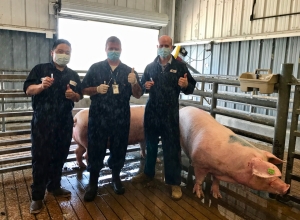 Kord Lab, USDA, and Vanderbilt working with field test for swine Kord Lab, USDA, and Vanderbilt working with field test for swine
