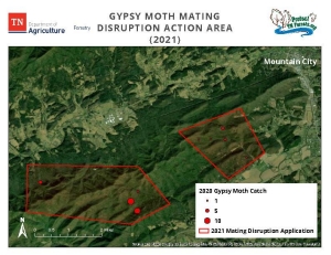 Gypsy Moth Application Map