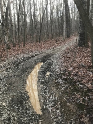 Prentice Cooper State Forest trail damage