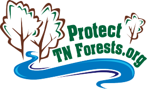 Protect Tennessee Forests