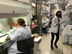 Kord Animal Health Laboratory microbiologists