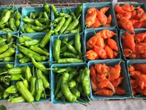 Specialty Crop Peppers