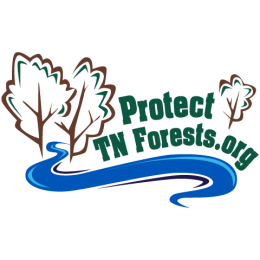 Protect Tennessee Forests