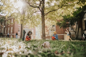 Forestry Staff and Volunteers collect White Oak Acorns in Davidson County, Tennessee Forestry Staff and Volunteers collect White Oak Acorns in Davidson County, Tennessee