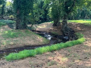 Completed Water Quality Project at Pinkerton Park in Williamson County, Tennessee Completed Water Quality Project at Pinkerton Park in Williamson County, Tennessee