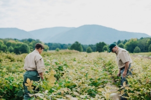East Tennessee Nursery Tree and Shrub Seedlings Orders Open East Tennessee Nursery Tree and Shrub Seedlings Orders Open