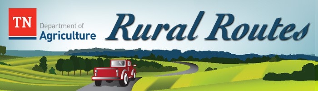 Rural Routes Header