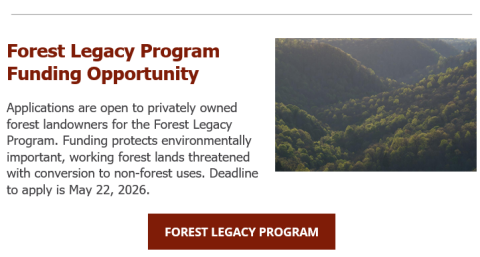 Grant Program Available to Protect Private Forestland from Development