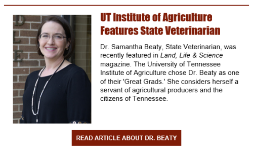 UT Graduate Feature State Veterinarian Samantha Beaty