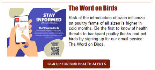 Sign Up for Backyard Bird Alerts