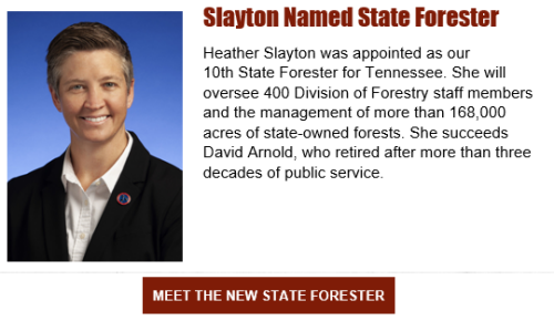 Heather Slayton Named State Forester