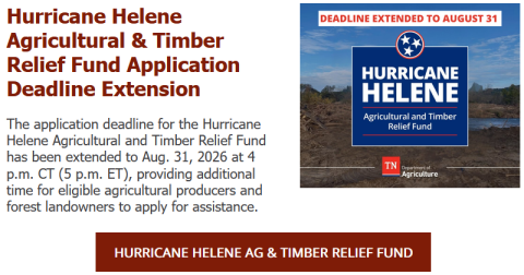 Hurricane Helene Agricultural and Timber Relief Fund Application Deadline Extended to Aug. 31