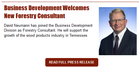 David Neumann Joins Business Development Division