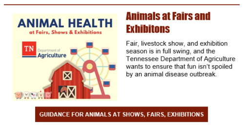 Animal Health at Fairs and Expos