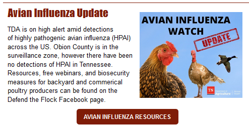 Avian Influenza Update