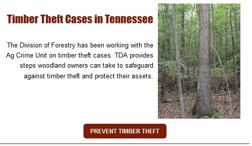 Timber Theft Cases Reported Across Tennessee