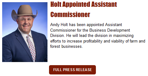 Andy Hold Named Assistant Commissioner for Business Development
