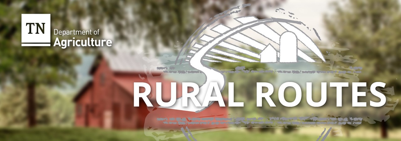 Rural Routes newsletter