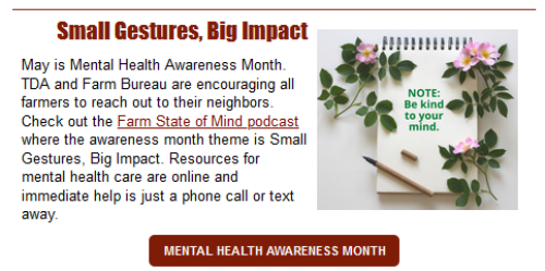 Mental Health Awareness and Resources