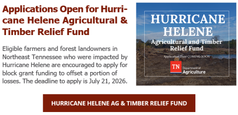 Tennessee Launches $34 Million Hurricane Helene Relief Program for Farmers and Forest Landowners