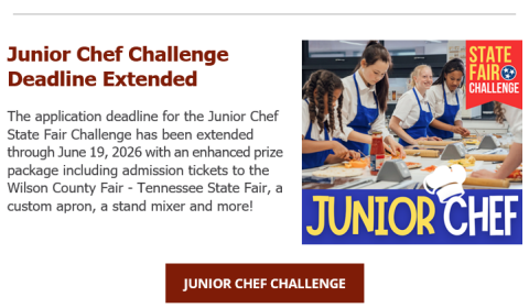 Junior Chef Challenge Deadline Extended