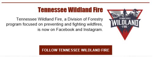 Tennessee Wildland Fire Social Media Pages