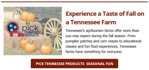 Pick Tennessee Products Fall Agritourism
