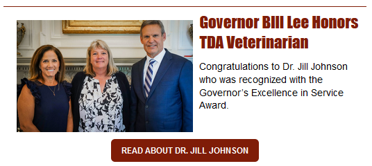 Dr Jill Johnson Earns Excellence Award