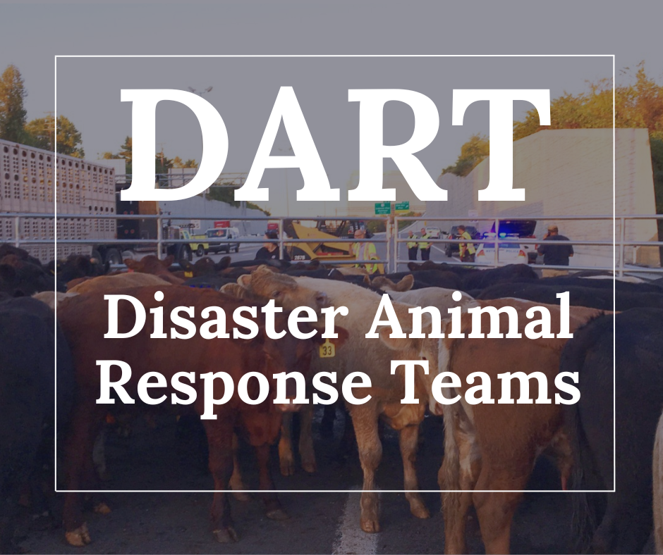 Disaster Animal Response Teams