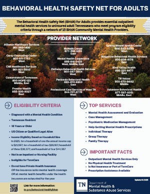 Image of behavioral health safety net flyer.  All information and contacts on this document are also displayed on this page.