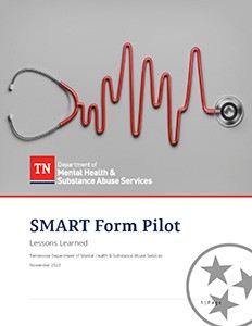 smart form pilot report cover page