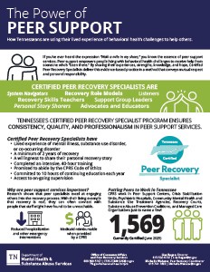 image of peer support onepager